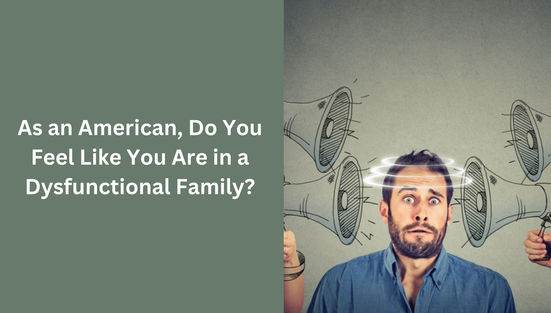 As an American, do you feel like you are in a dysfunctional family?