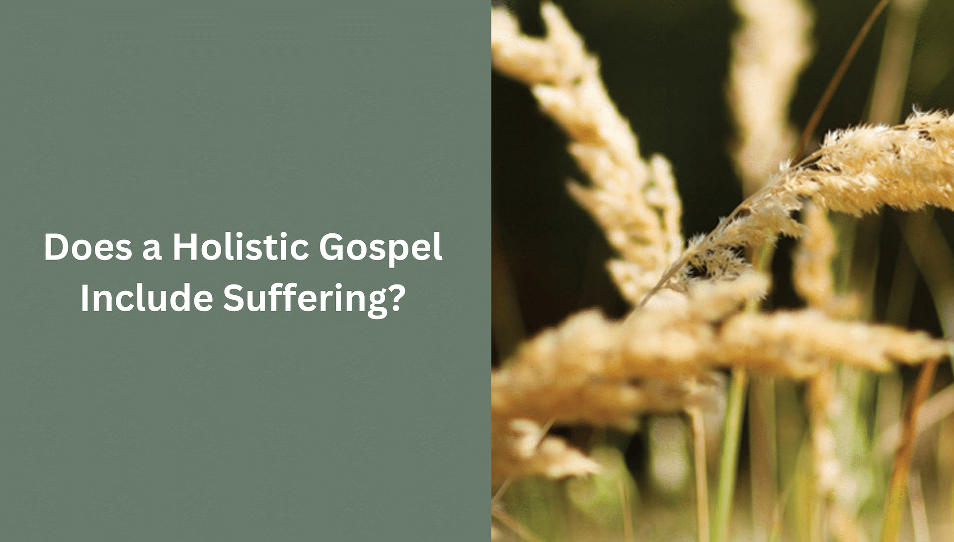 Does A Holistic Gospel Include Suffering?