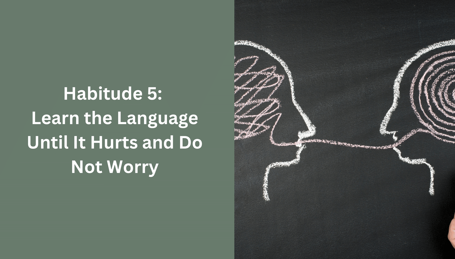 Habitude 5: Learn the language until it hurts and do not worry