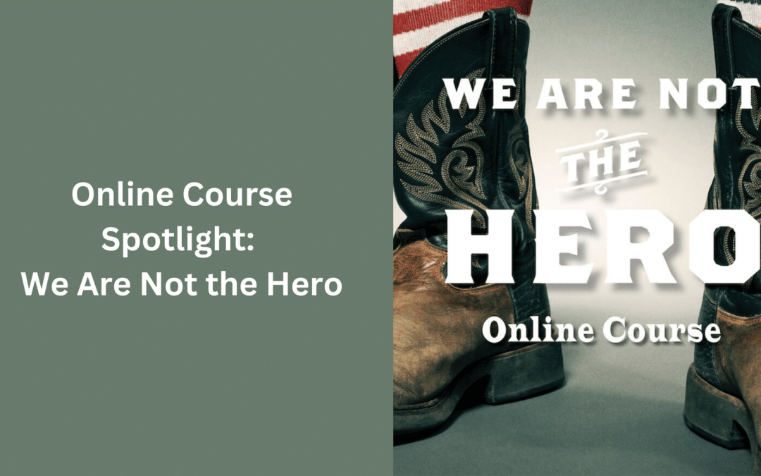 Online Course Spotlight: We Are Not The Hero