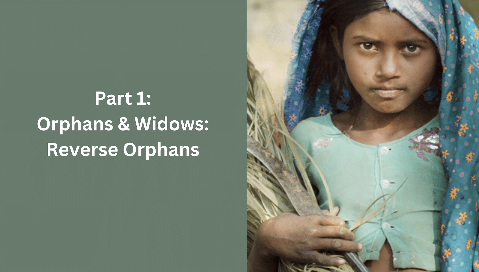 Orphans & Widows, Part 1: Reverse Orphans