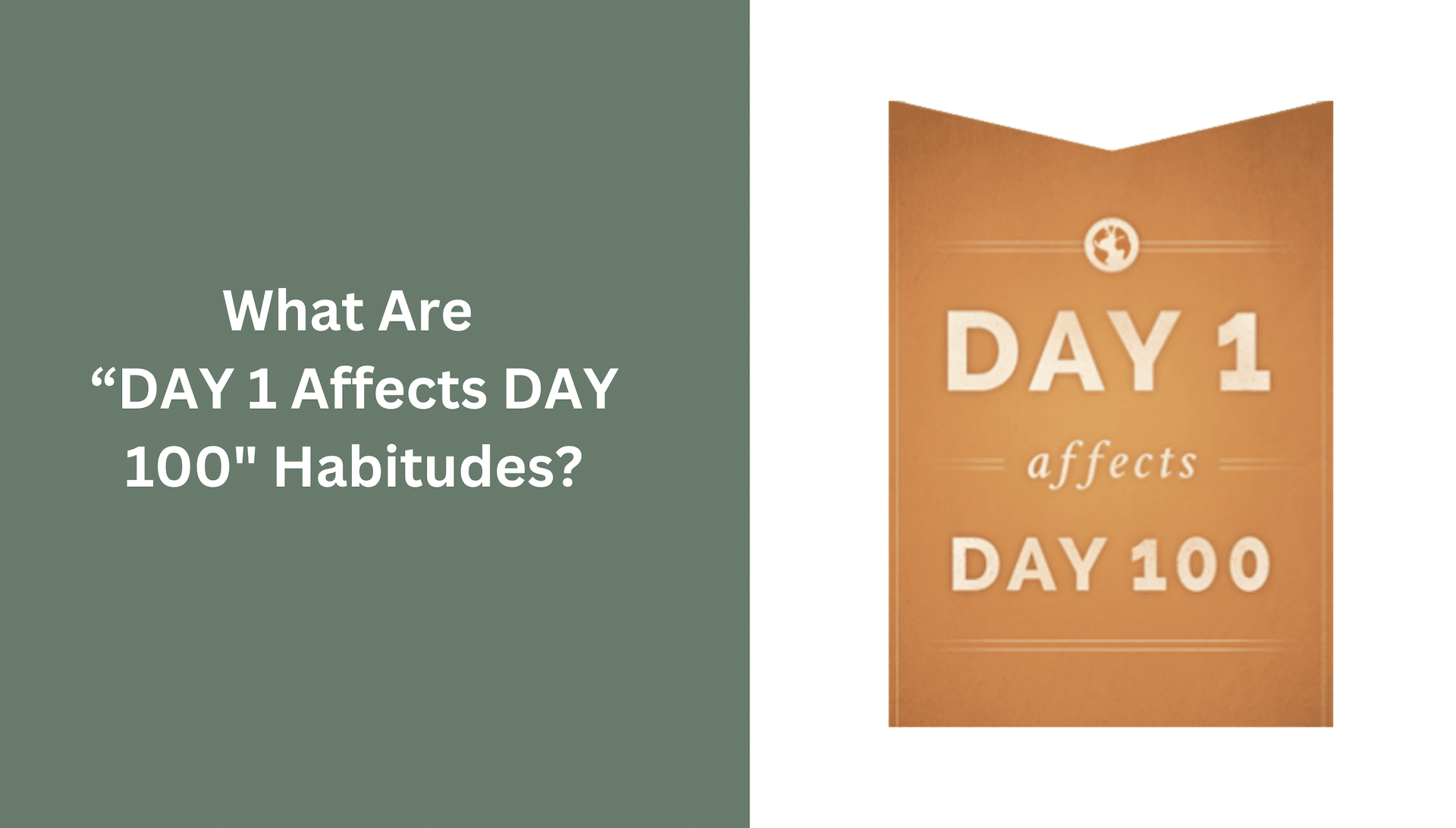 What Are “DAY 1 affects DAY 100 Habitudes”?