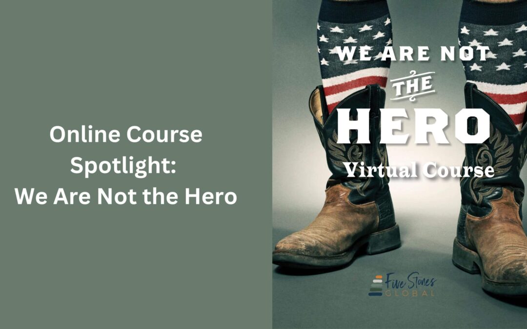 Online Course Spotlight: We Are Not The Hero
